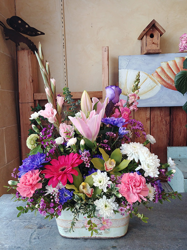 Container arrangement No.80