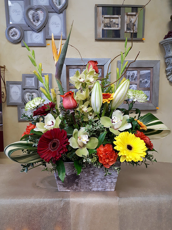 Mother's day No.51